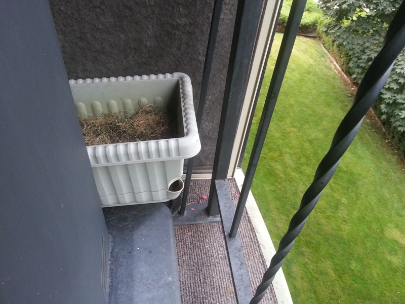 20140801_074726.jpg