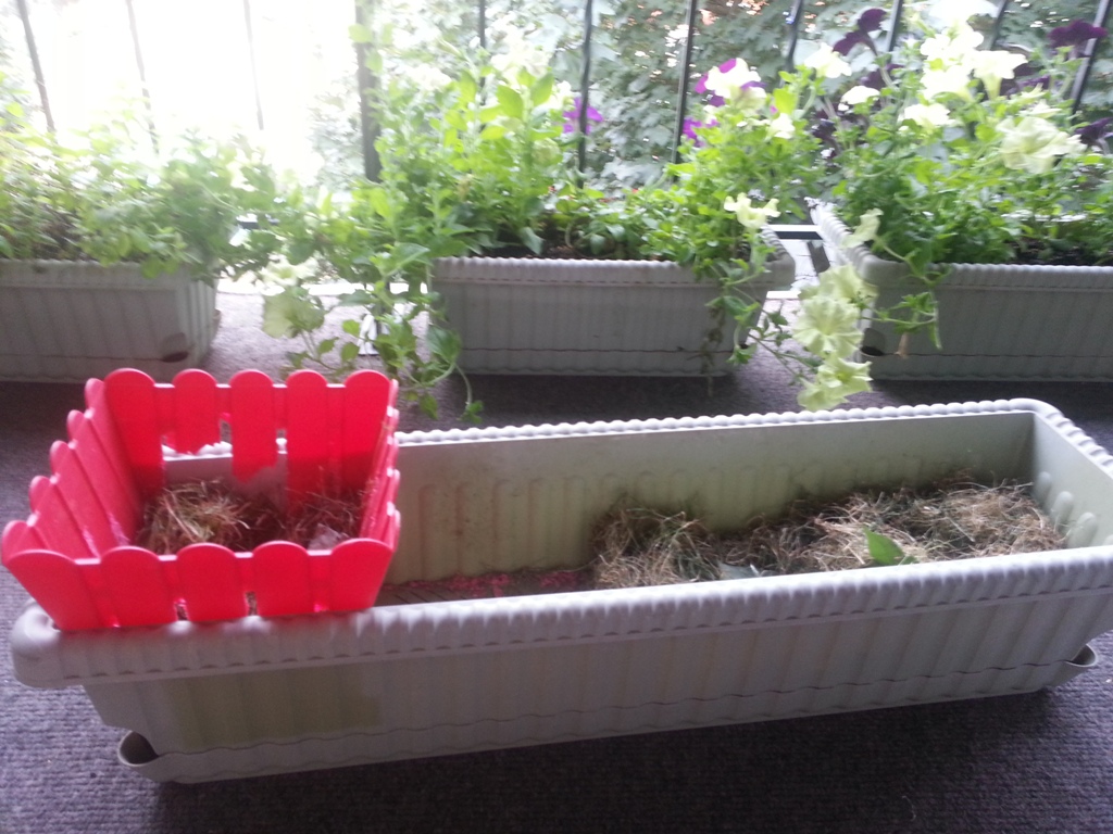 20140801_074853.jpg