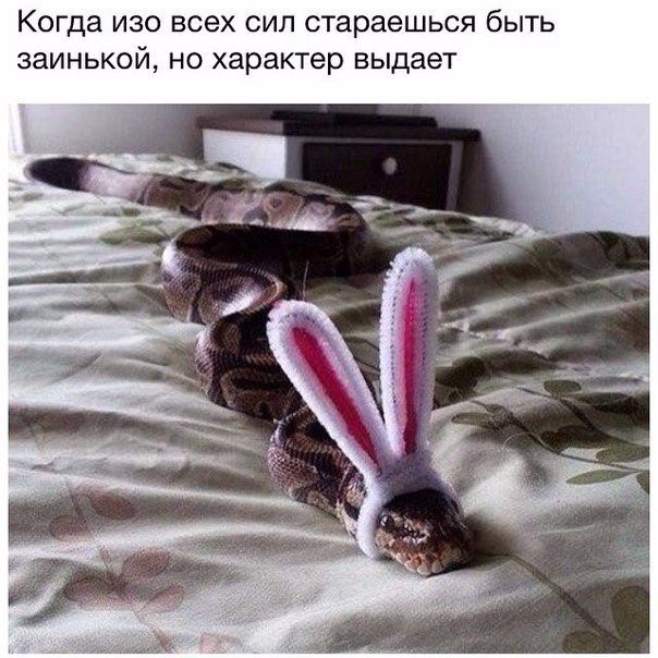 22j4tMZa4Do.jpg