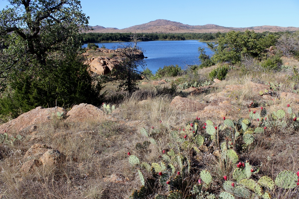 IMG_5517 - Copy.JPG