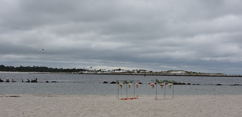 DSC_0251.JPG