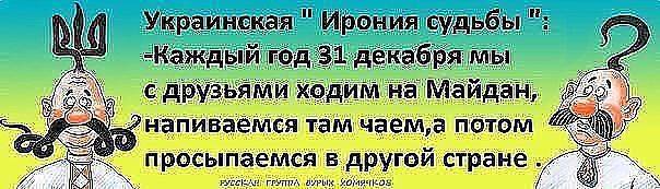 11253888_1885650348221906_5405378100807964199_n.jpg