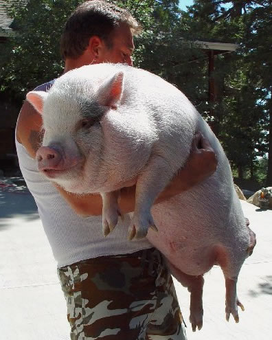 holding Wilbur on his 3rd BD.jpg