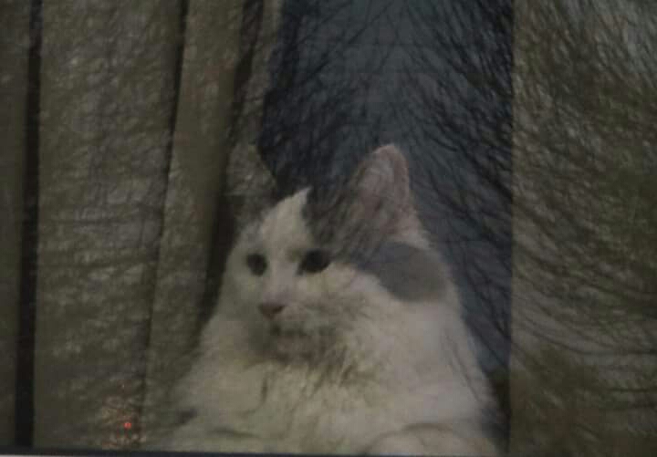 2015-11-10 01.38.43.jpg