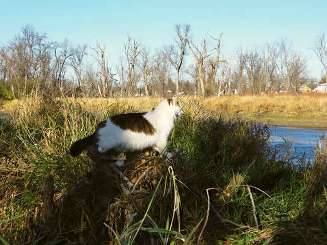 2015-11-10 15.22.43.jpg