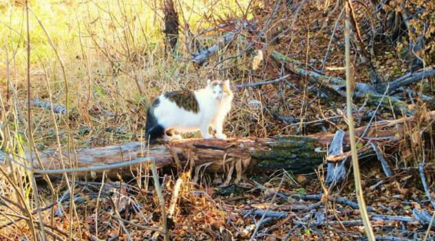 2015-11-10 15.21.37.jpg