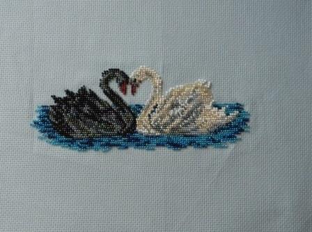 DSCN9959 - копия.JPG