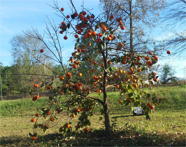 20151113_154348 copy.jpg