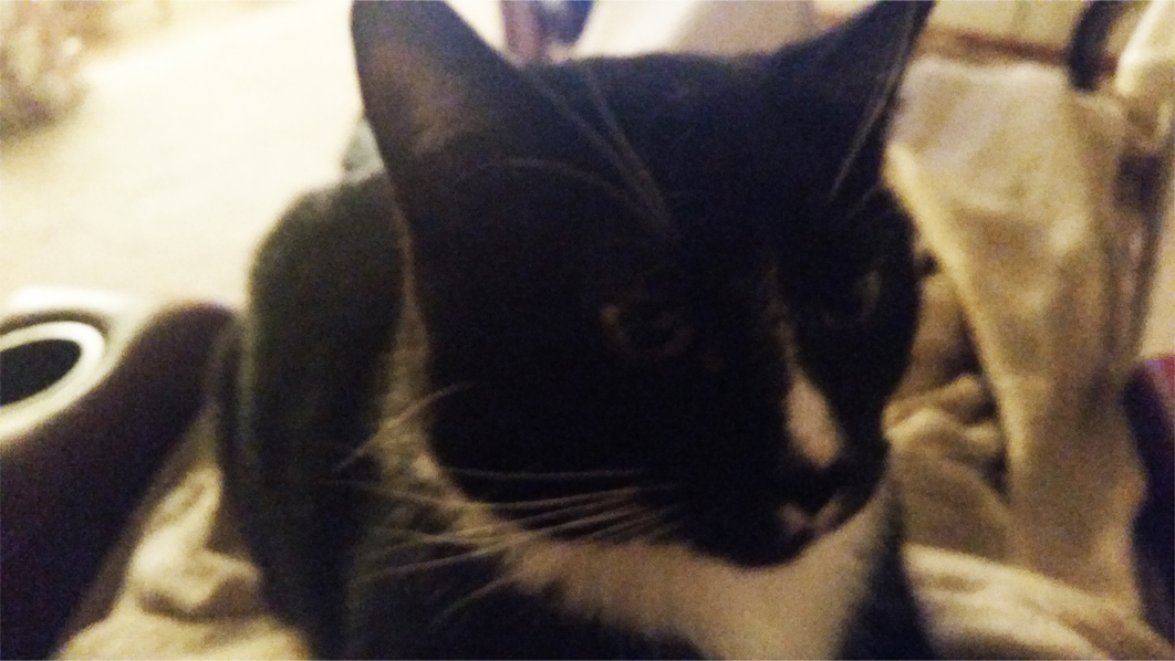 20151113_063645 copy.jpg