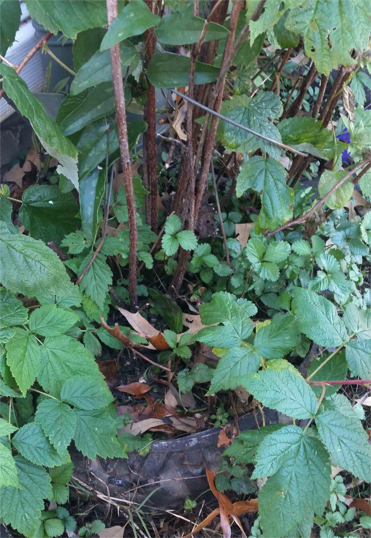 20151122_140922 copy.jpg