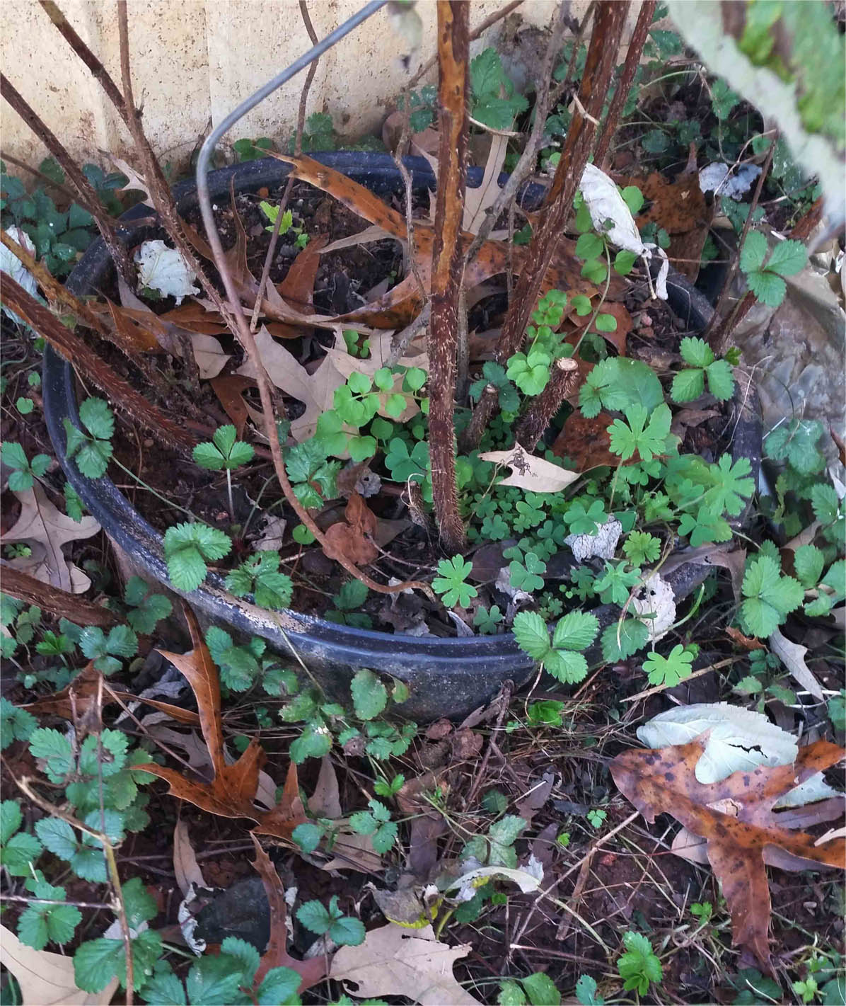 20151122_140910 copy.jpg