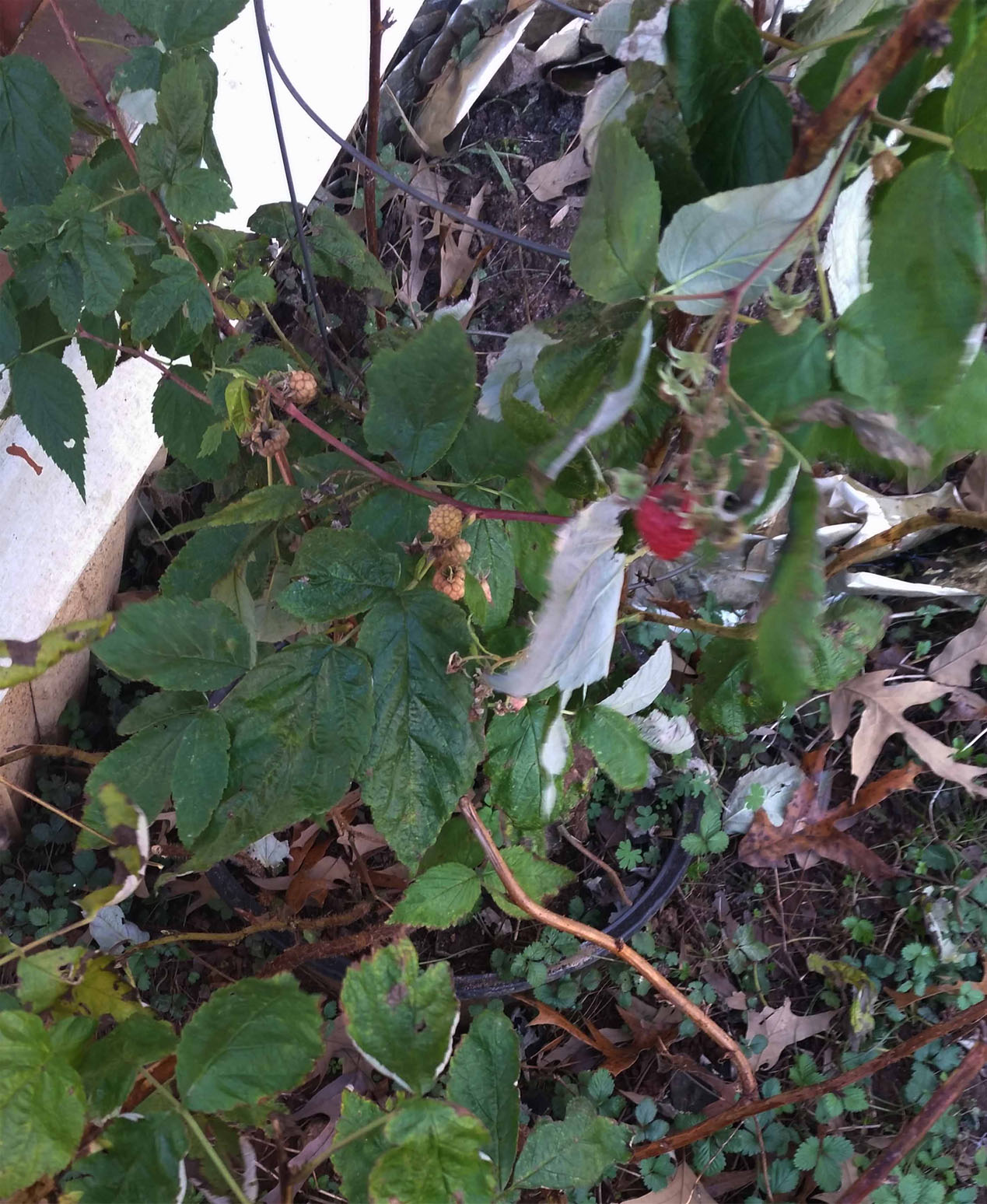 20151122_140829 copy.jpg