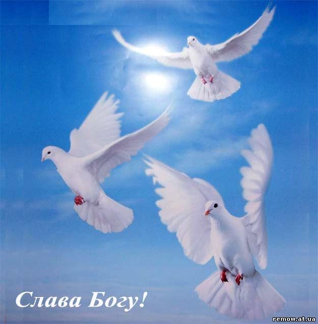 slava.jpg