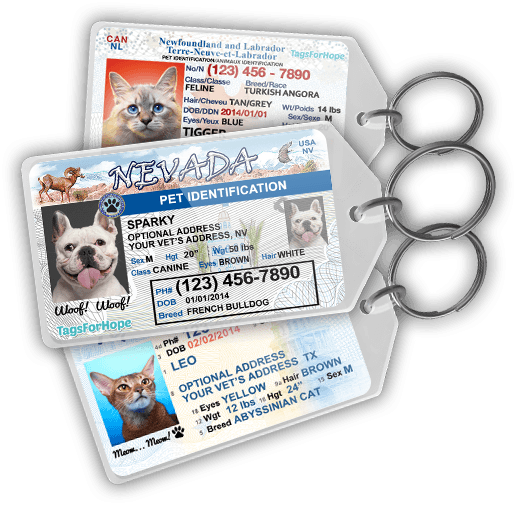 front-page-new-tags-1.png