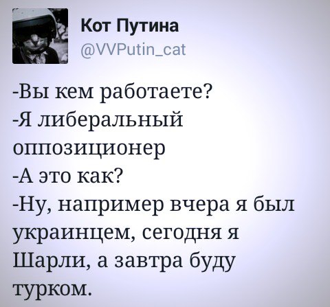 3qL5VQ7lZ2g.jpg