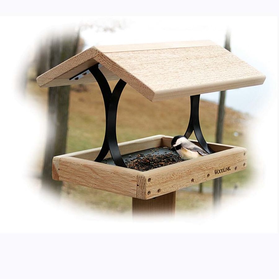 bird_feeder.jpg