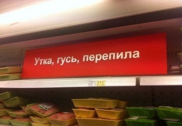 5770910-600-1452840362-OcN1vBjWVk8.jpg