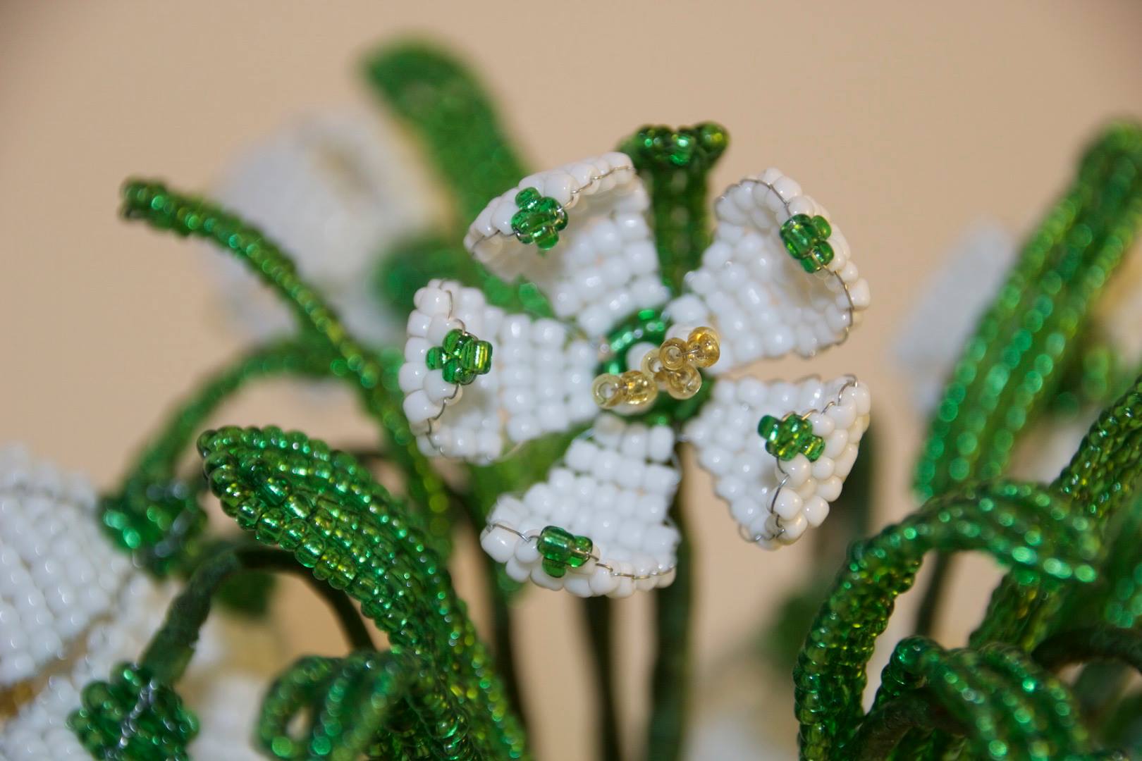 snowdrops1.jpg