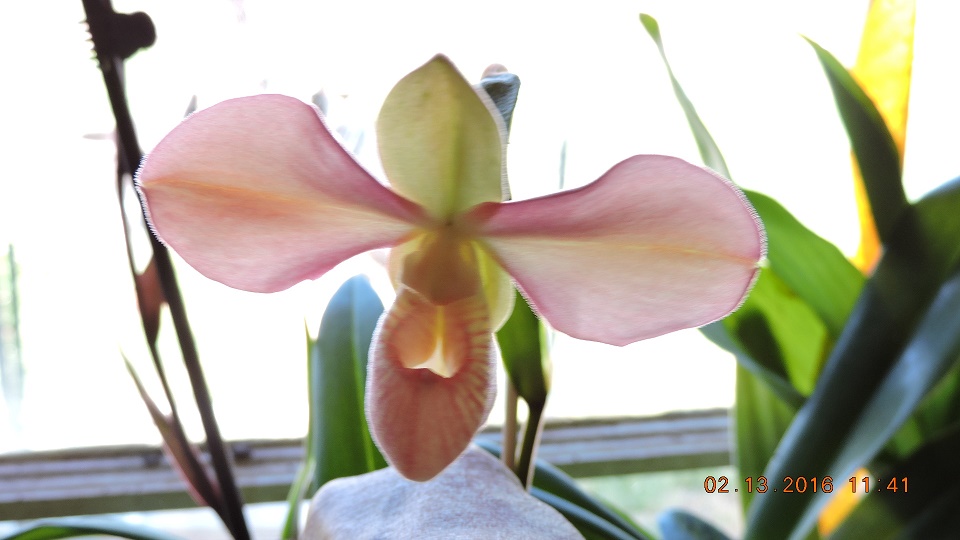 DSCN0039.JPG