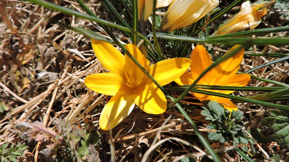 DSCN0094.JPG