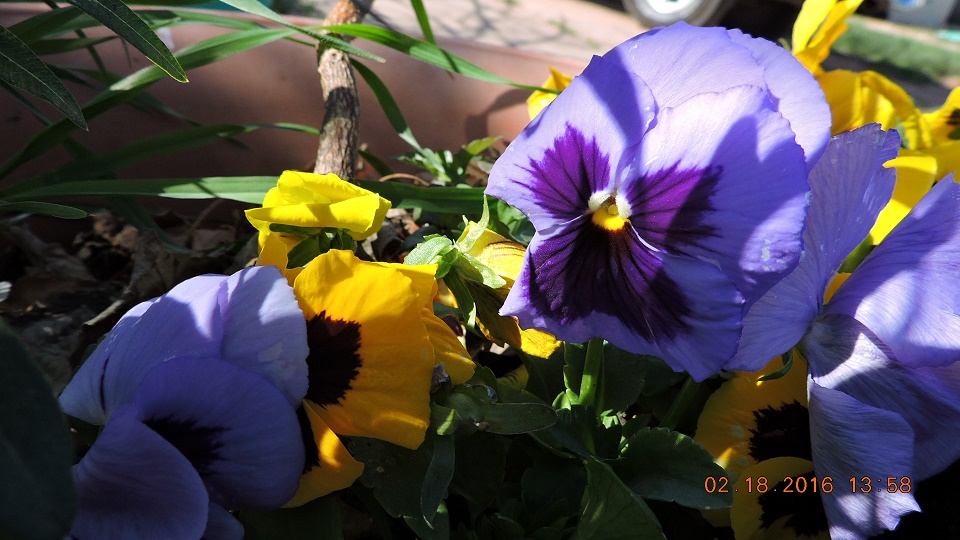DSCN0100.JPG