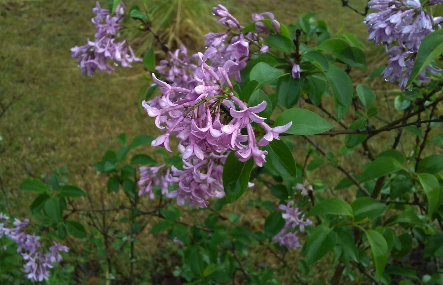 20160401_080332.jpg