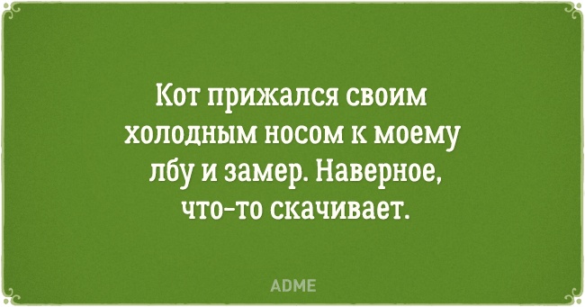 8776415-650-1461060247-12.jpg