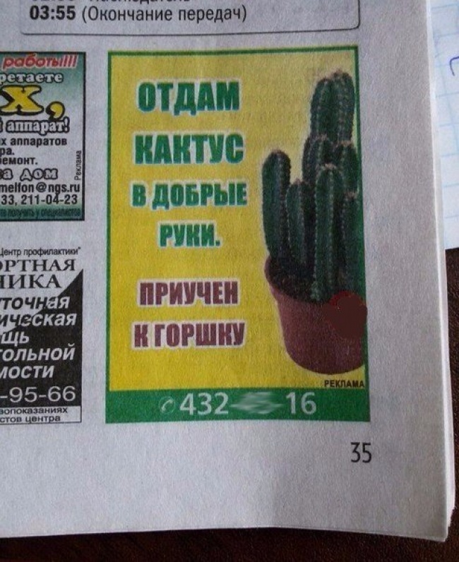 9880265-7821344-650-1464783475.jpg