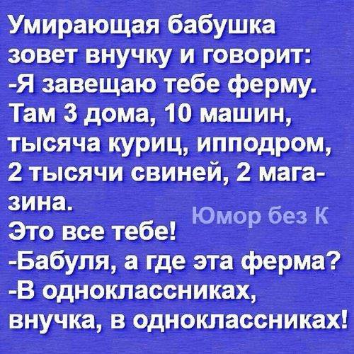 13567361_262376630805860_5240591797094465088_n.jpg