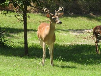 DSCN0932.JPG