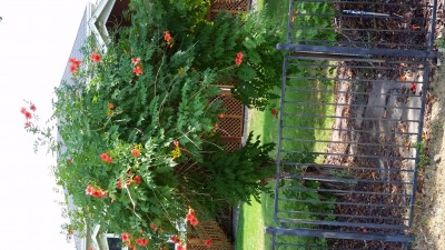 20160819_102642.jpg