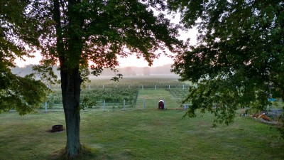 IMG_20160818_065615814_HDR.jpg