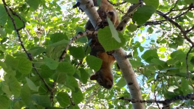 20160710_100338.jpg