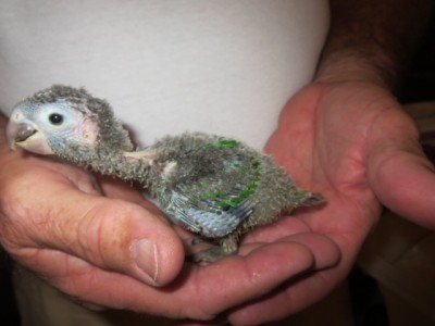 2014-03-16 N 926.jpg