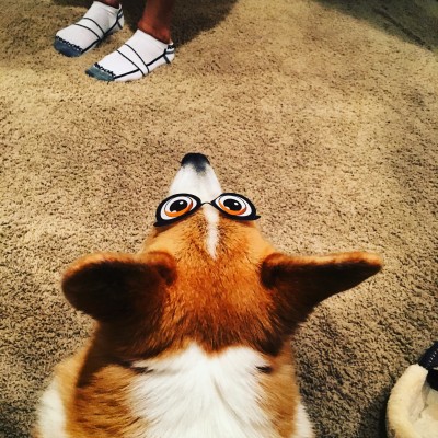image.jpeg