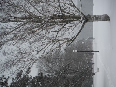 DSCF5075.JPG