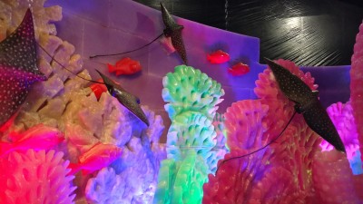 IMG_20161221_180130916.jpg