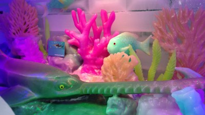 IMG_20161221_175553500.jpg