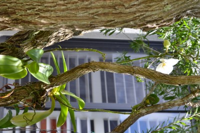 DSC_0804.JPG