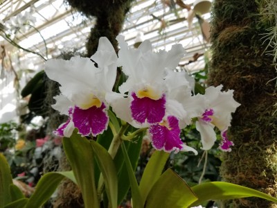 20170211_103246.jpg