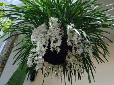 20170211_103259.jpg