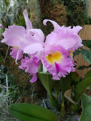 20170211_103502.jpg