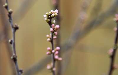 IMG_0155.JPG