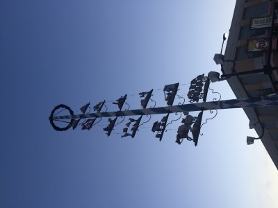 IMG_7810.JPG