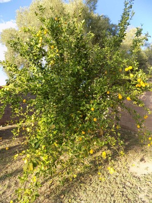 DSCN3295.JPG