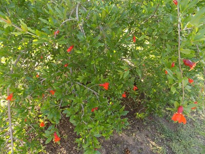 DSCN3298.JPG