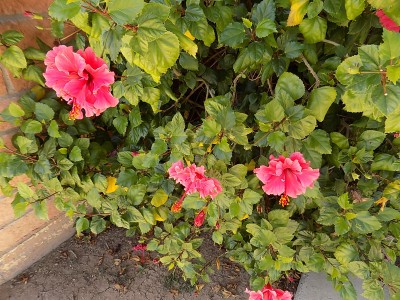 DSCN3350.JPG