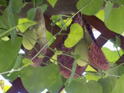 DSCN3883.JPG