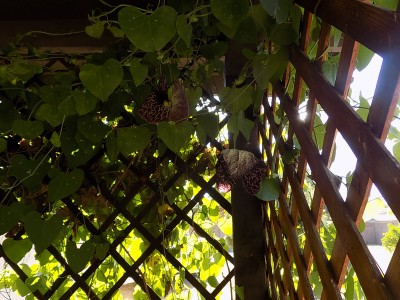 DSCN3885.JPG