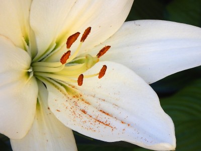 DSCN1028.JPG